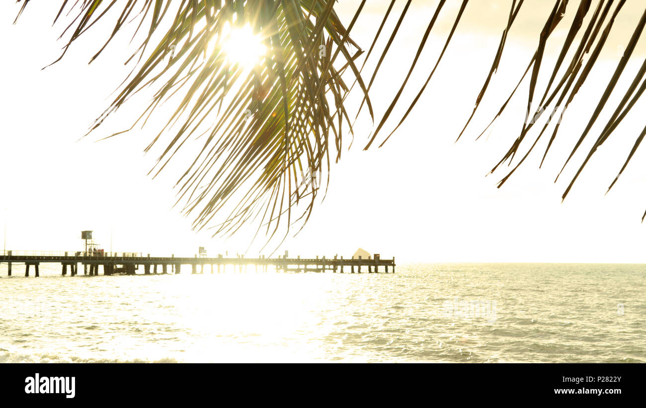Golden alba di Palm Cove lontano Nord Queensland. Palm Cove molo vicino a Cairns. Inizio della gara ironman evento. Turismo estremo NORD QLD. Foto Stock
