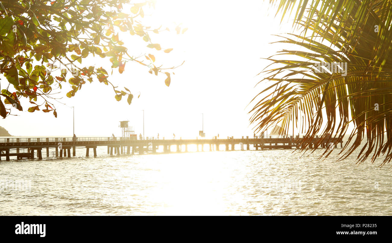 Golden alba di Palm Cove lontano Nord Queensland. Palm Cove molo vicino a Cairns. Inizio della gara ironman evento. Turismo estremo NORD QLD. Foto Stock