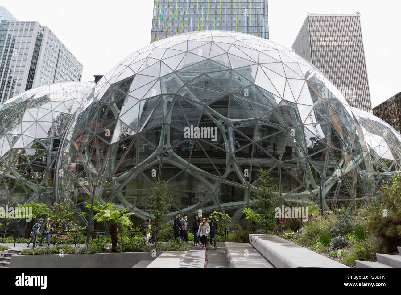 Seattle, Washington: Amazon sfere in Amazzonia HQ. Le strutture geodetiche house spazio office, vendita al dettaglio e un giardino botanico. Foto Stock