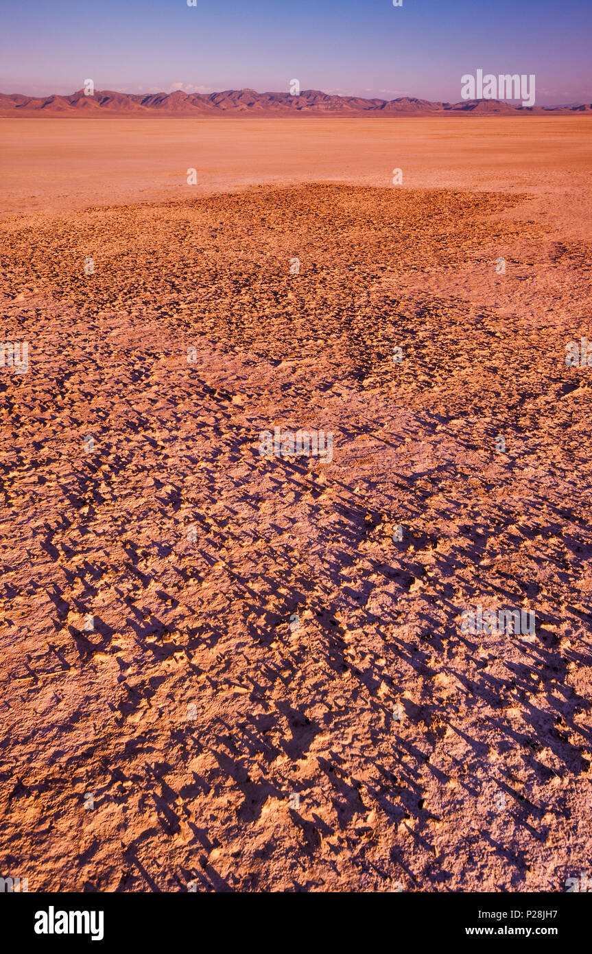 Deposito di sale al lago Sevier, Dry Lake, al tramonto, bacino grande deserto dello Utah, Stati Uniti d'America Foto Stock
