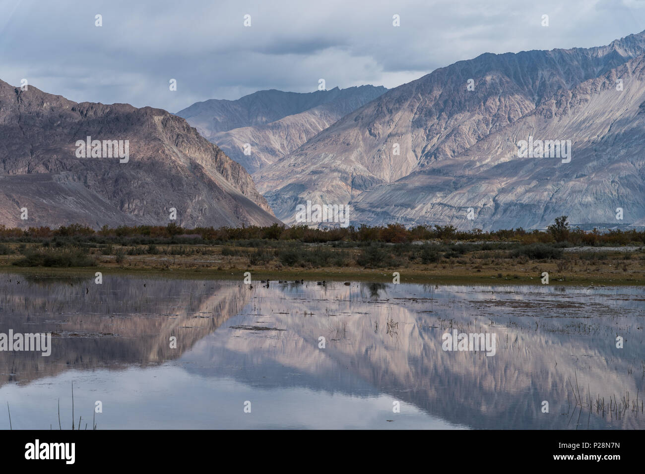 La gamma della montagna di riflessione nel acqua a Valle di Nubra. Leh Ladakh, India. Foto Stock