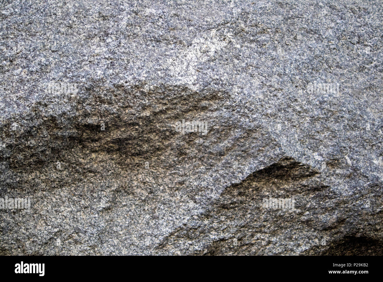 Grigio pietra naturale texture, rilievo di superficie in granito, può essere utilizzato come sfondo Foto Stock