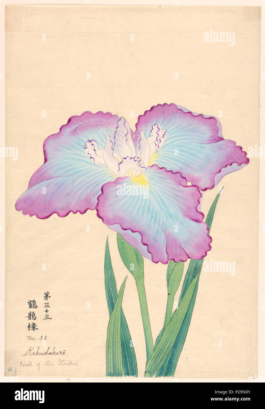 . Inglese: stampa, Sala delle Cicogne (Kakushakuro), n. 33, ca. 1910 . Inglese: un grande iris, esterno cade lascia la luce blu con punte di lavanda; foglie interno bianco con punte di colore viola. . Circa 1910 268 Stampa, Sala delle Cicogne (Kakushakuro), n. 33, ca. 1910 (CH) 18380769-2 Foto Stock