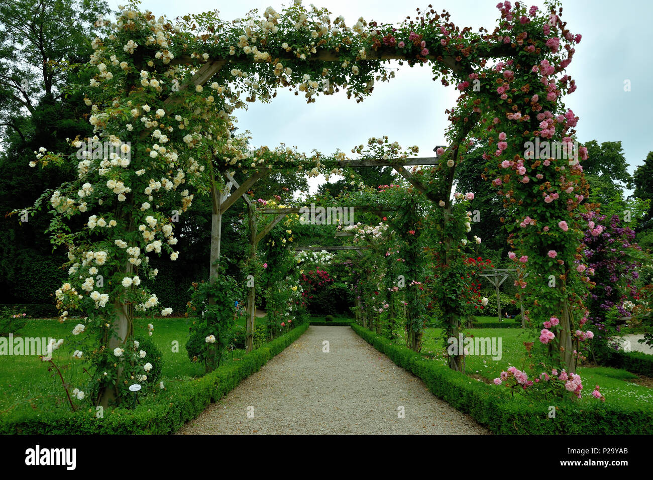 Il Bois de Boulogne Foto Stock