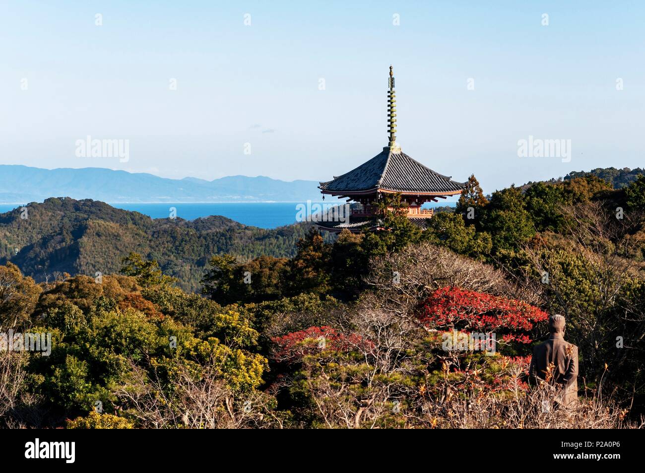 Il Giappone, l'isola di Shikoku, prefettura e della città di Kochi, vista dal parco Tanezakisensho upside city Foto Stock