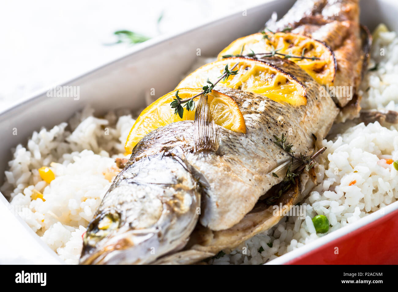 Pesce Branzino Al Forno Con Riso E Verdure Foto Immagine Stock