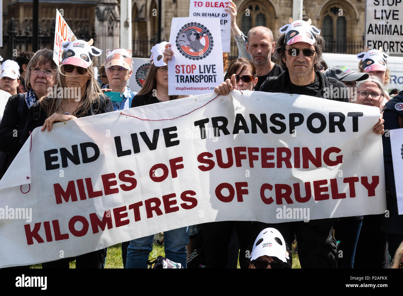 Londra 14 giugno 2018, termine il trasporto di animali vivi protesta sulla piazza del Parlamento, Londra Credit Ian Davidson/Alamy Live News Foto Stock