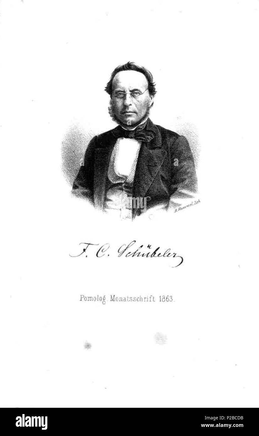 230 Pom.Mon.Hefte 1863 Porträt Schübeler Foto Stock