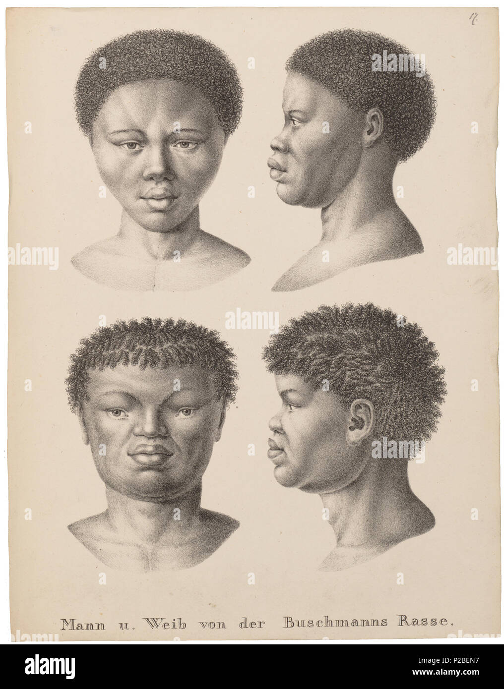 . Homo sapiens - San, Zuid-Afrika . tra il 1700 e il 1880 UBA01 IZ19400122-t, 17-09-09, 14:04, 8C, 7008x9898 (673+425), 100%%%%, BasisCurve Arte, 1/50 s, R49.6, G19.4, B12.4 151 Homo sapiens - San, Zuid-Afrika - 1700-1880 - Stampa - Iconographia Zoologica - Collezioni Speciali Università di Amsterdam - UBA01 IZ19400121 Foto Stock