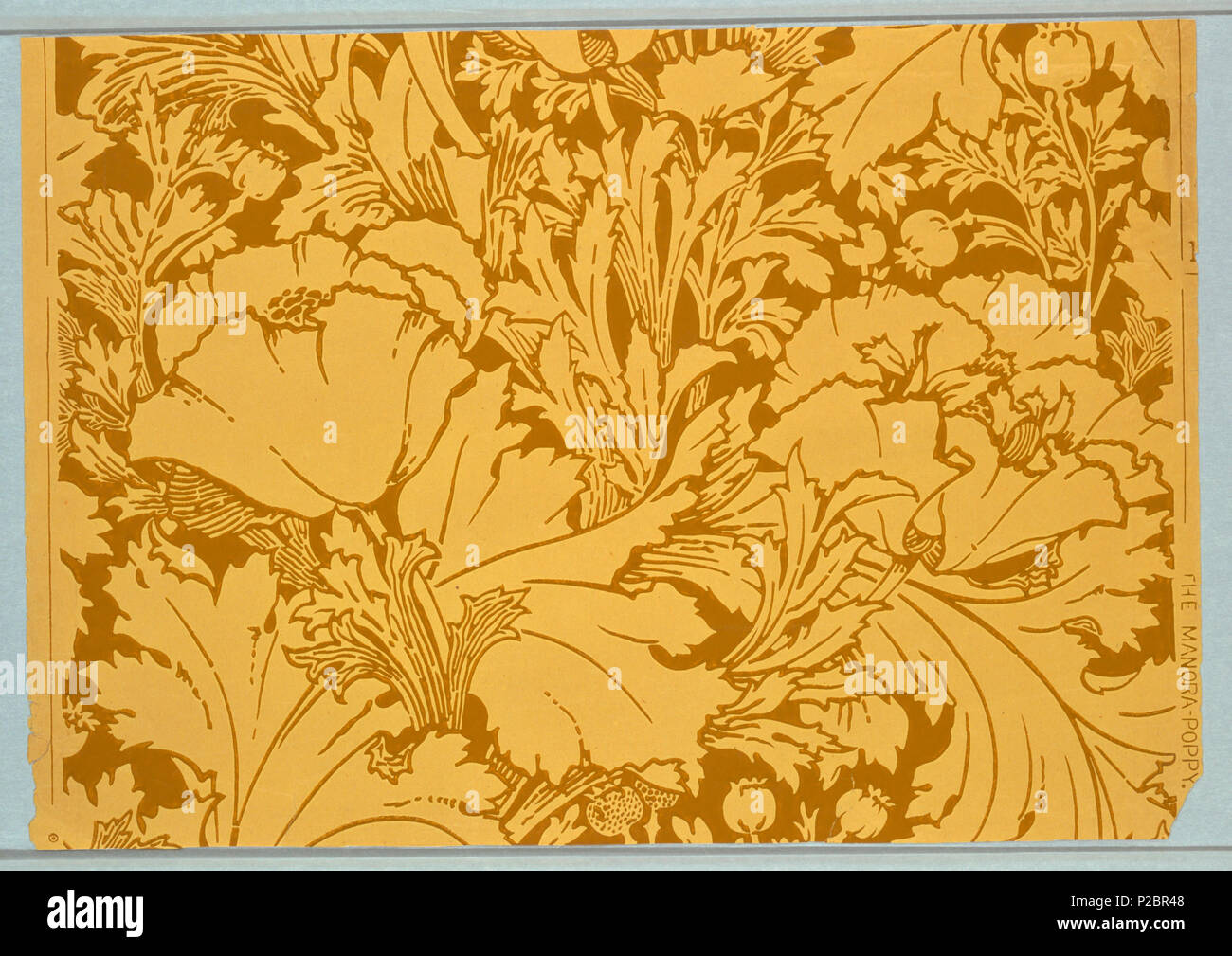 . Inglese: fianco, l'Manora-Poppy, ca. 1900 . Inglese: design in stile liberty contenenti grandi papaveri con fogliame e cialde. Stampato in ocra profondo-verde ocra su carta. . Circa 1900 292 fianco, l'Manora-Poppy, ca. 1900 (CH) 18476913 Foto Stock