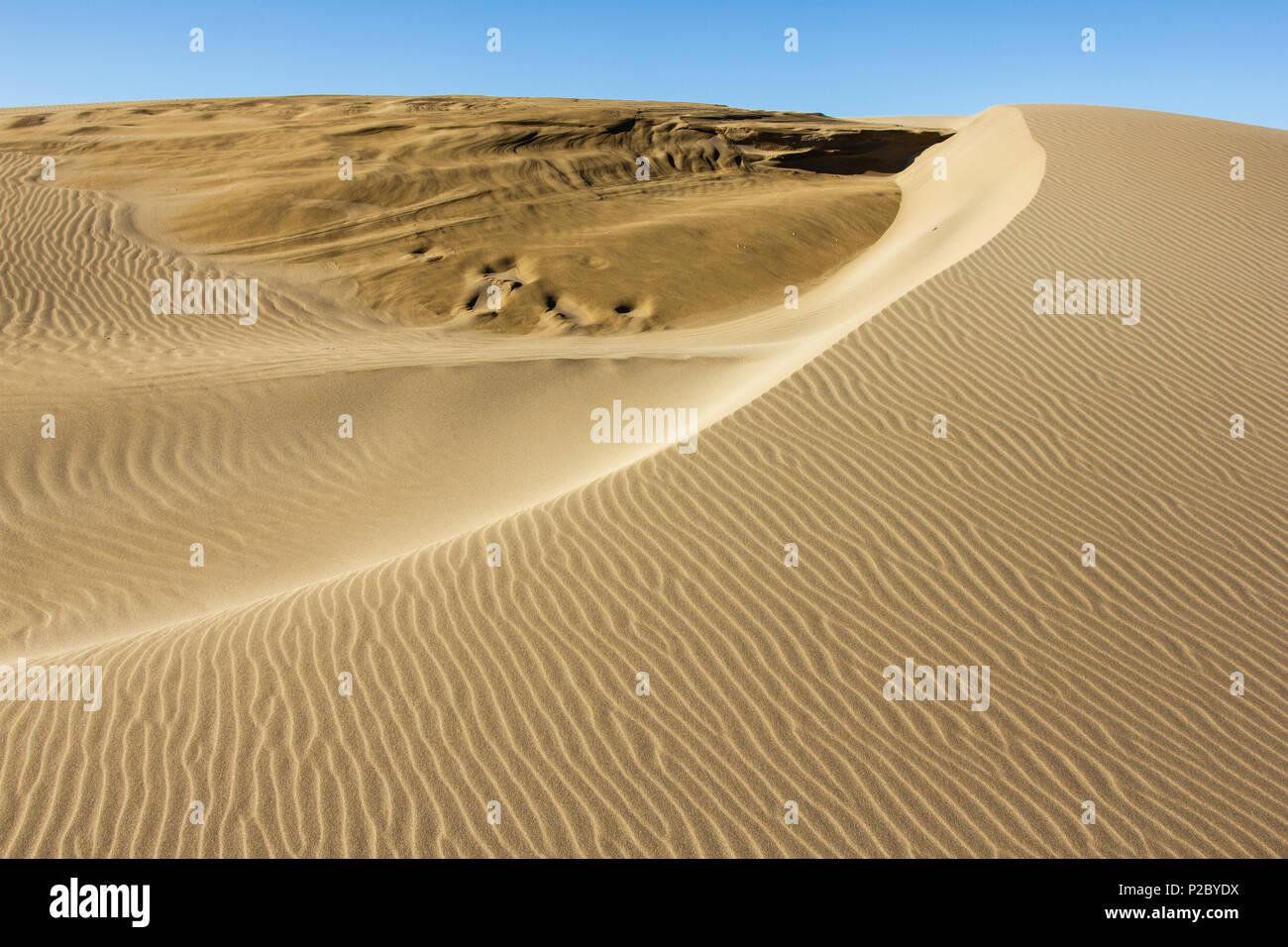 Deserto di sabbia nel Delta de l'Ebre parco naturale, Terres de l'Ebre, Catalogna, Spagna Foto Stock