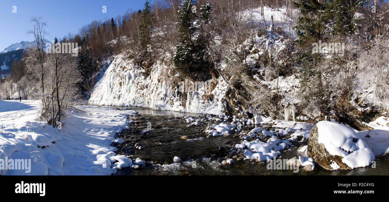 Savognin, Svizzera: la neve e il gelo con aghi dovuta al freddo intenso. Foto Stock