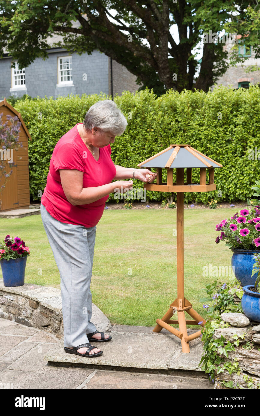 Donna immissione alimenti per uccelli su un nuovo legno Bird Feeder in un paese giardino. South Devon Regno Unito Foto Stock