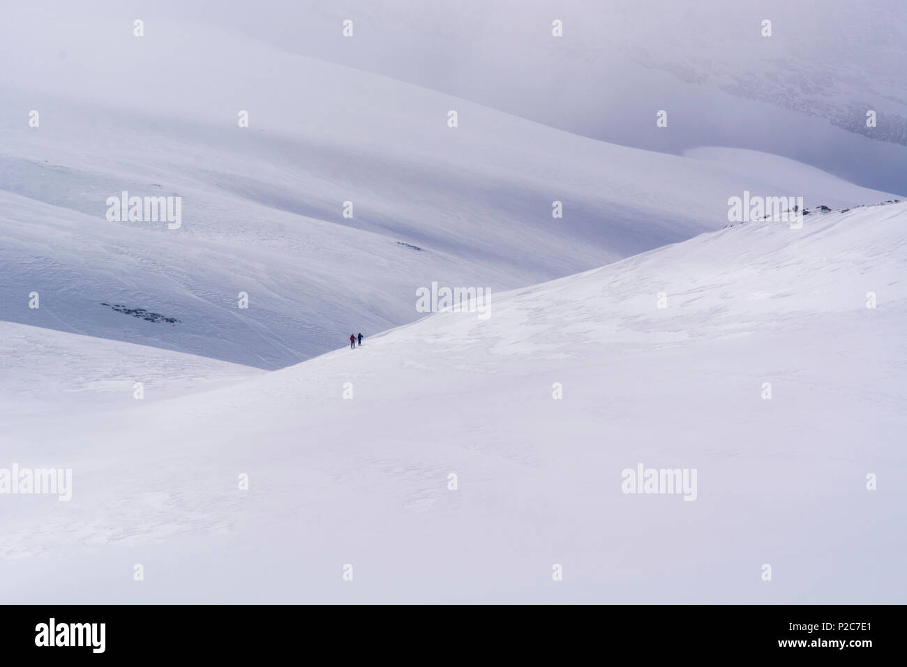 Due sciatori backcountry ascendente nel mezzo di grandi piste innevate, Regione del Sempione, Alpi Lepontine, canton Vallese, Switzerlan Foto Stock