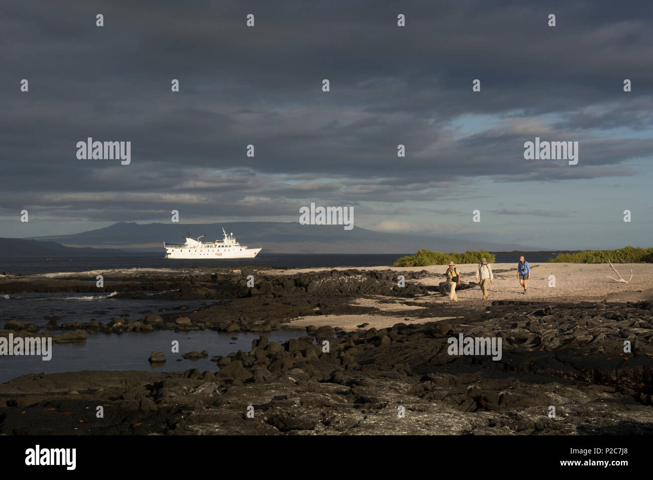 Una guida e due turisti passeggiate sulla spiaggia di sabbia nera e le rocce vulcaniche di Punta Espinoza in Fernandina Island, Galapagos Foto Stock
