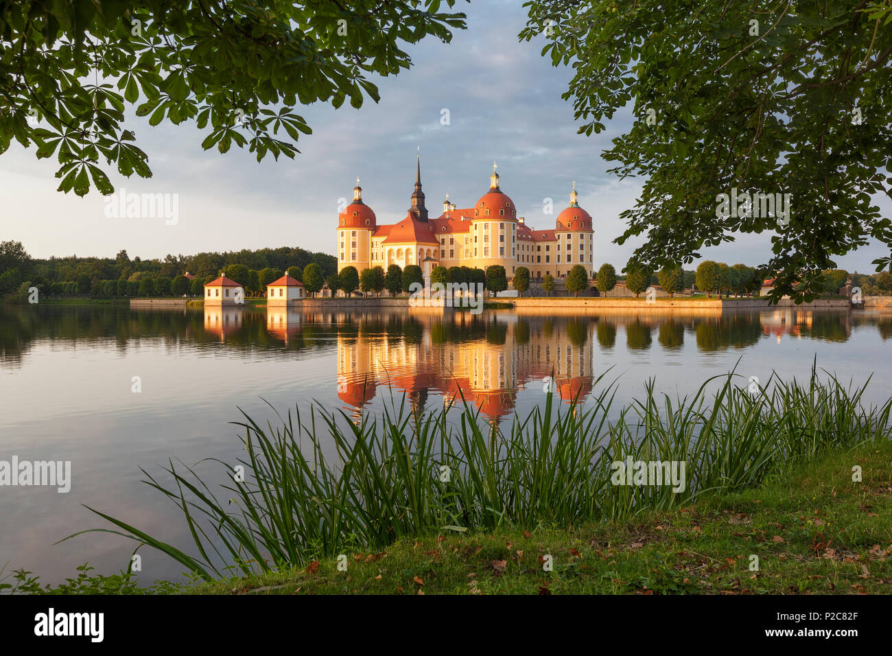 Barocco castello di Moritzburg nel sole di sera con la sua riflessione in al laghetto del castello incorniciato da alberi di castagno e canne, vicino a Dre Foto Stock