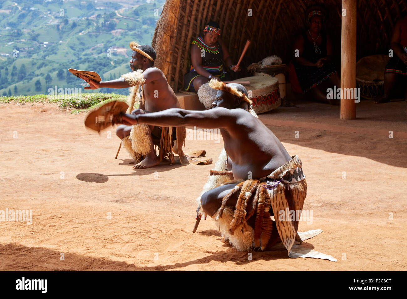 Ballerini Zulu effettuando al PheZulu villaggio culturale nella provincia di KwaZulu-Natal Foto Stock