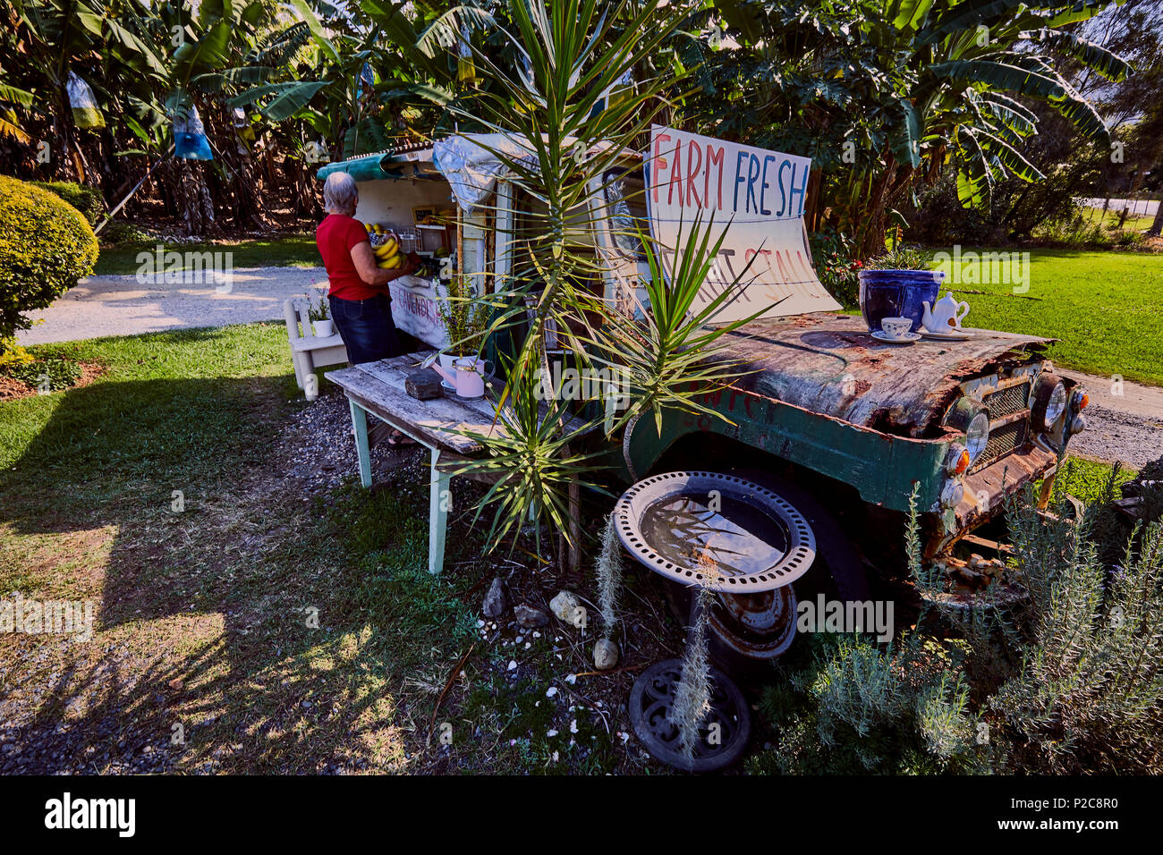 Una donna acquisto di banane provenienti da un frutto in stallo sul lato della strada convertito da un vecchio veicolo 4 X 4 vicino a Coffs Harbour, Nuovo Galles del Sud, Australia Foto Stock