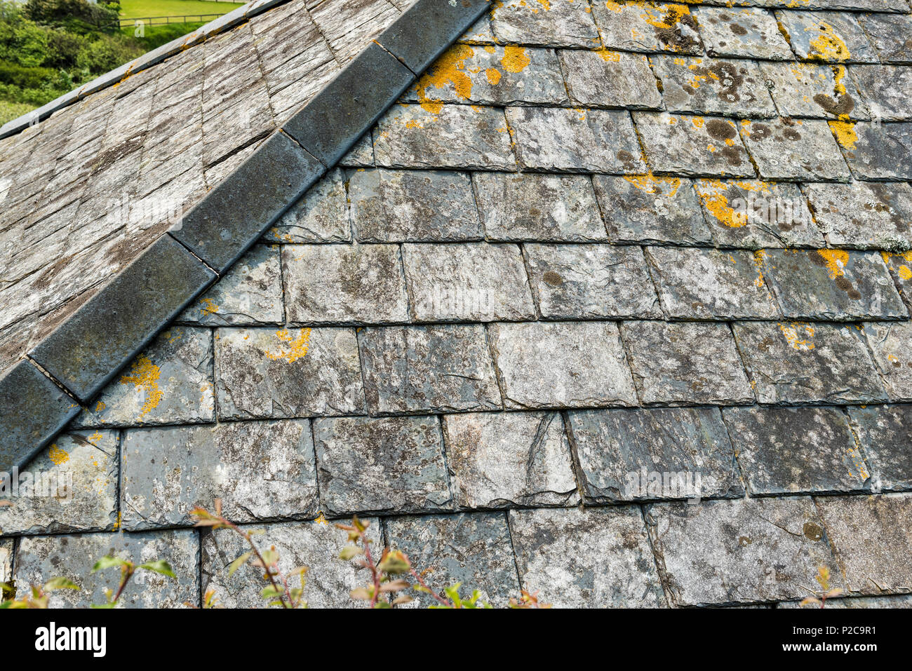 Chiudere la sezione di ardesia del tetto dell'anca. Vecchio tetto in Cornovaglia che mostra la crescita di licheni e muschi. Foto Stock