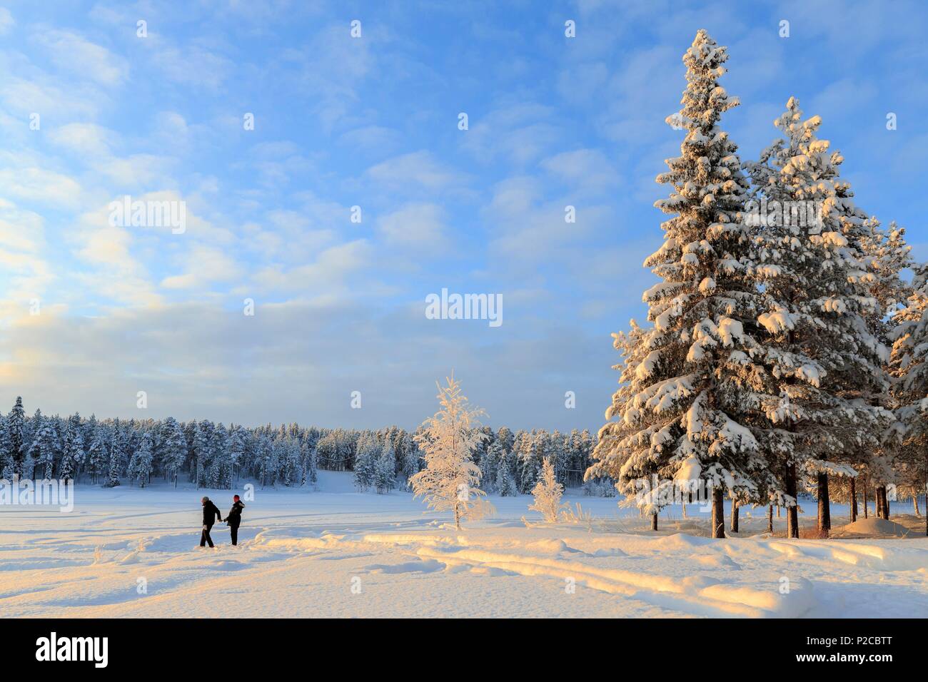 La Svezia, Lapponia, regione elencato come patrimonio mondiale dall' UNESCO, Norrbotten County, giovane passeggiando dal lago Totsavi nei pressi di Jokkmokk Foto Stock