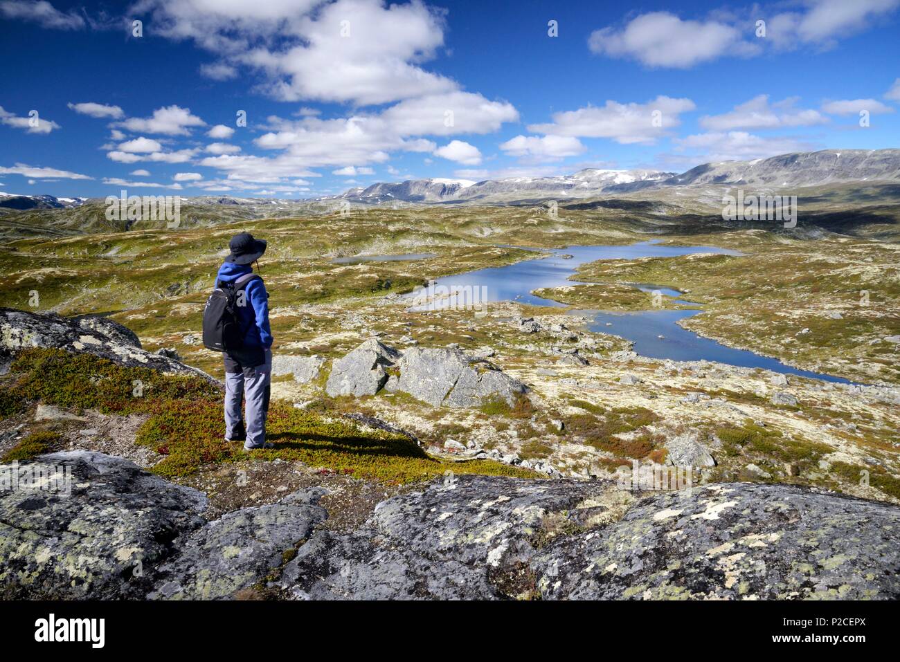 Norvegia Hordaland, Buskerud e Telemark contee, Parco Nazionale di Hardangervidda, lagest altopiano di montagna del nord Europa Foto Stock