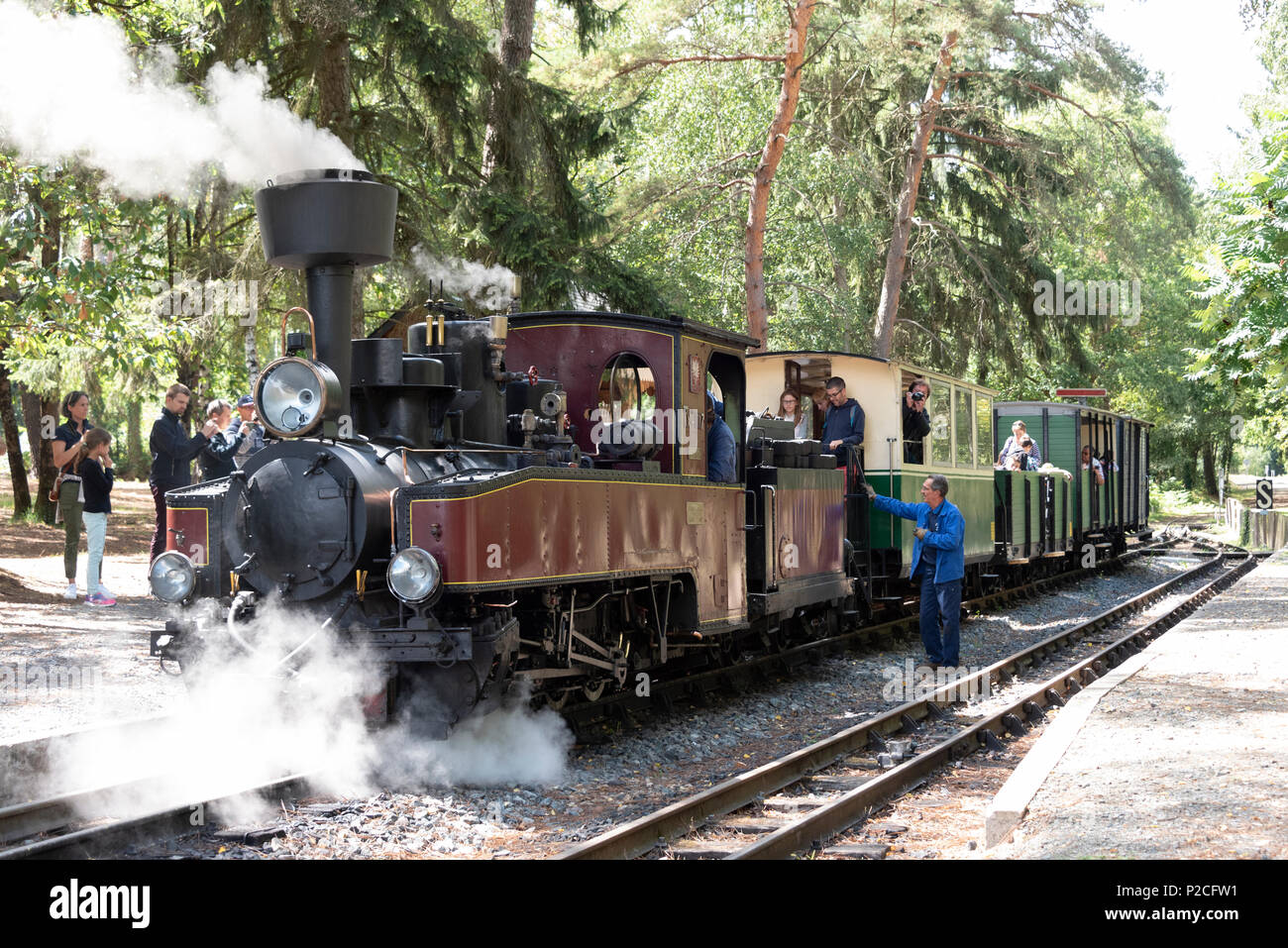 Uno dei treni a vapore sulla ferrovia a scartamento ridotto a Rille nella regione Pays de la Loire di Francia Foto Stock