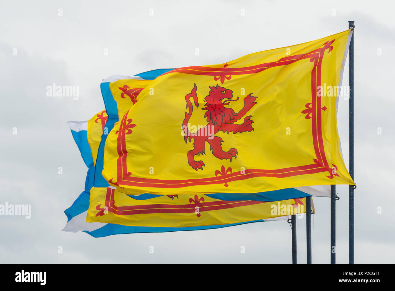 Bandiere scozzese - Il leone rampante o Royal Banner della Scozia battenti a fianco lo scozzese si intraversa Foto Stock