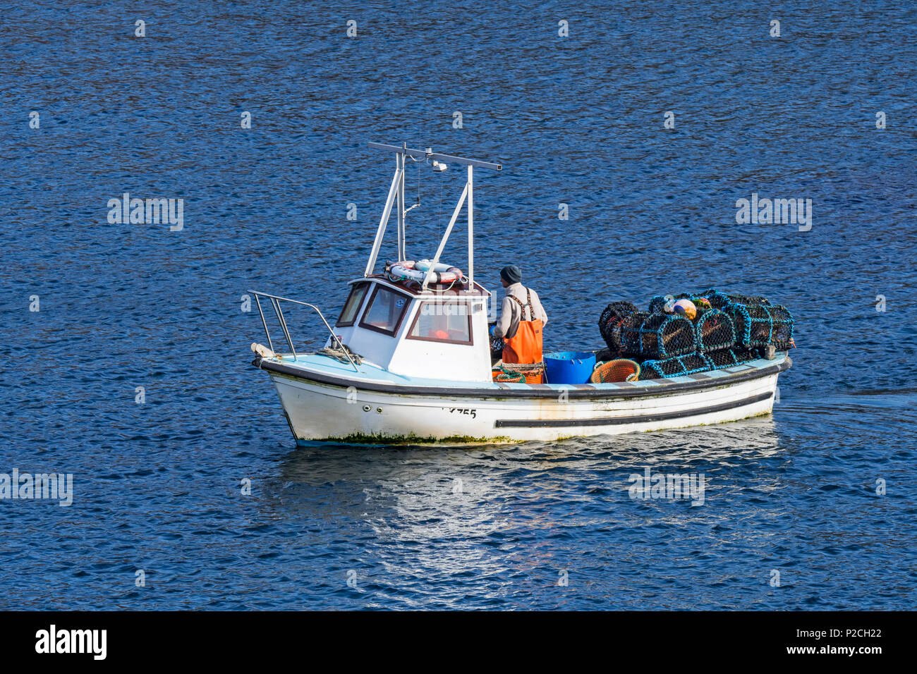 Pescatore in piccola barca da pesca la caduta / tiro trap aragosta / Lobster Pot / aragosta cantre nell'Oceano Atlantico, Scotland, Regno Unito Foto Stock