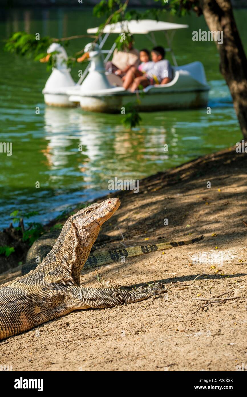Thailandia, Bangkok, Pathum distretto Wan, Parco Lumphinee creato negli anni Venti dal Re Rama Vi nel cuore del principale quartiere degli affari, monitor lizard Foto Stock