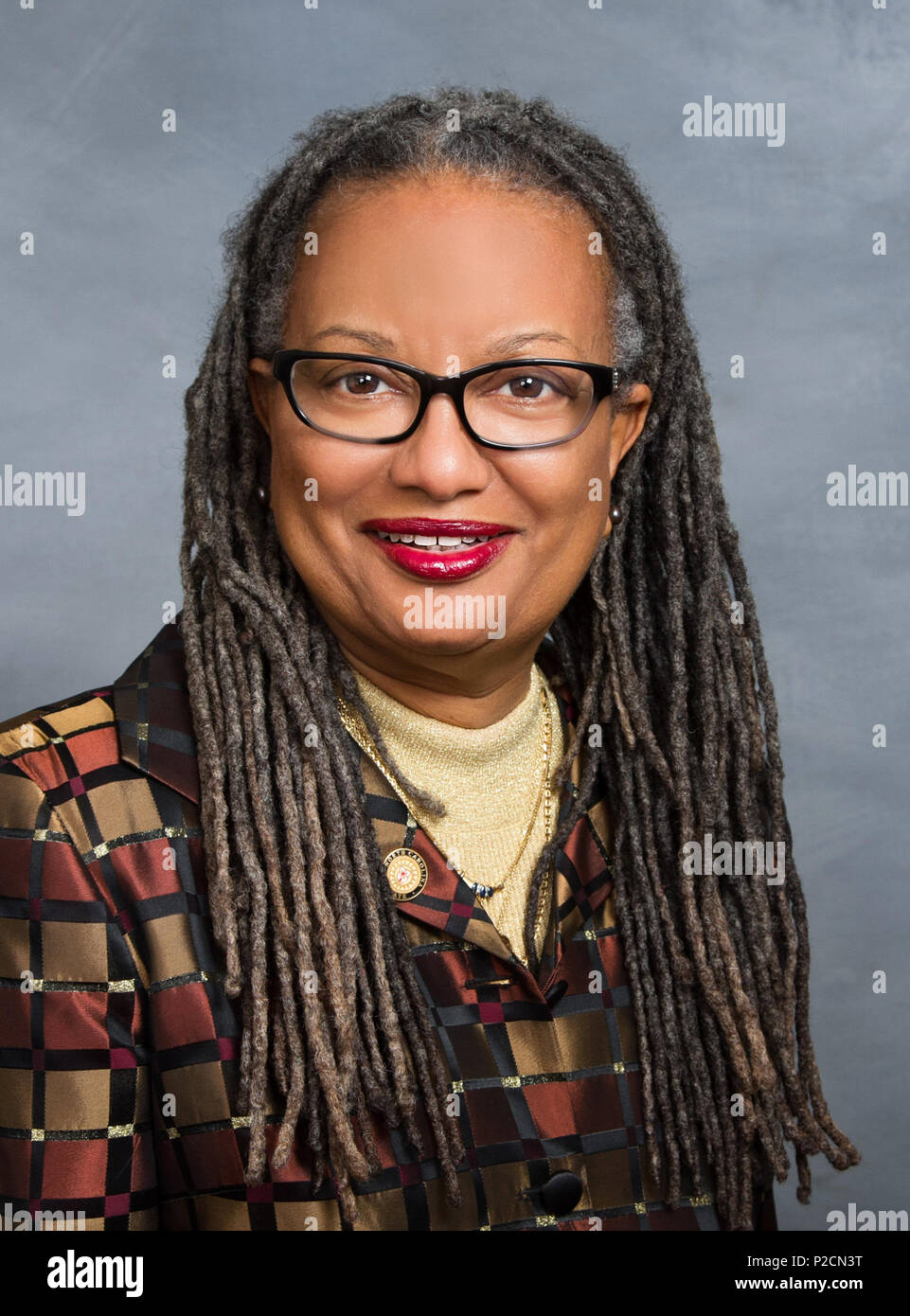 . Inglese: Carolina del Nord il senatore Angela Bryant . 2013. NC Assemblea Generale 4 Angela Bryant Foto Stock