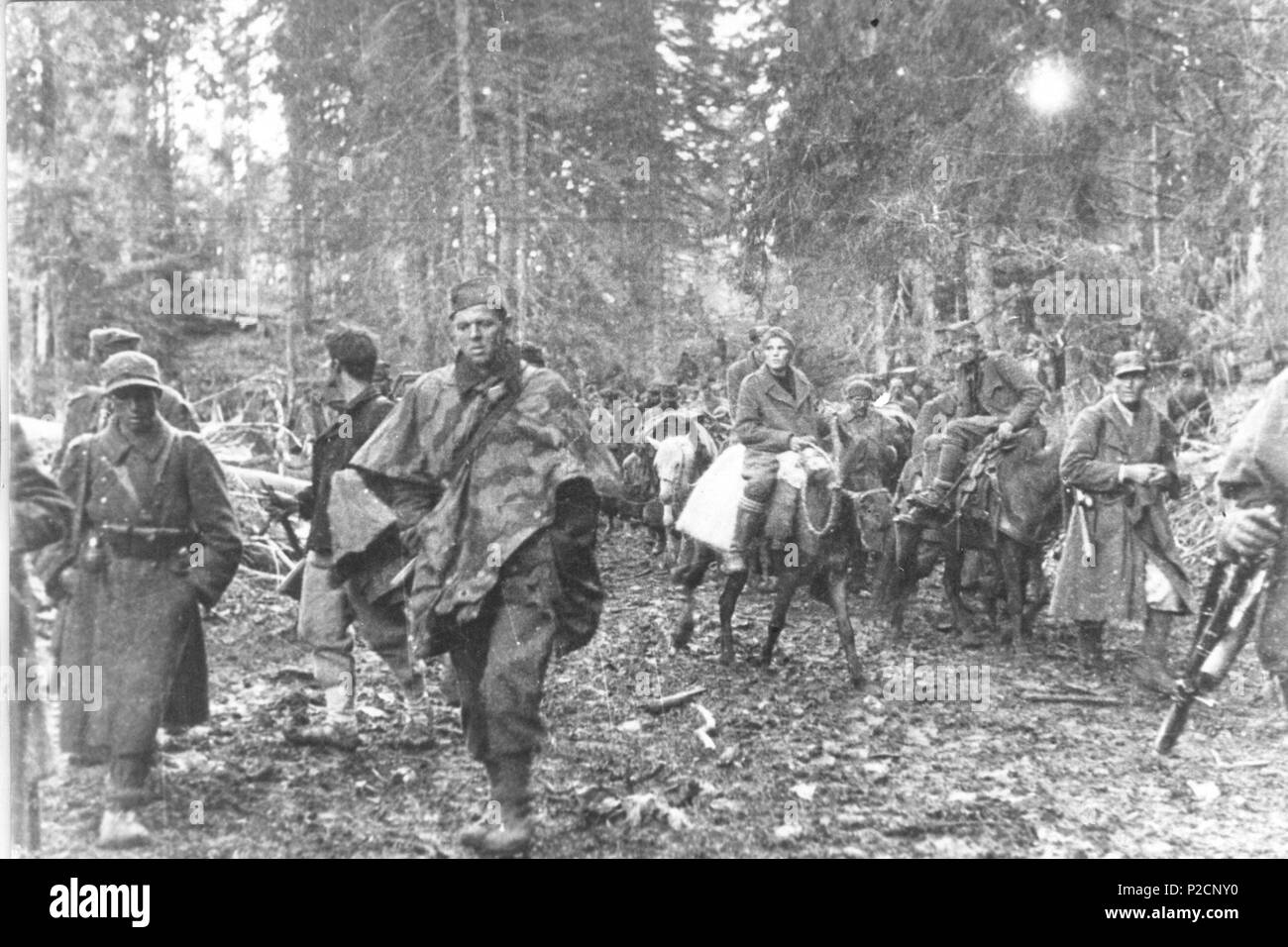 . Srpskohrvatski / ??????????????: Druga proleterska divizija u pokretu kroz Zelengoru, tokom bitke na Sutjesci juna 1943. 1943. 16 sconosciuto Druga proleterska divizija na Sutjesci Foto Stock