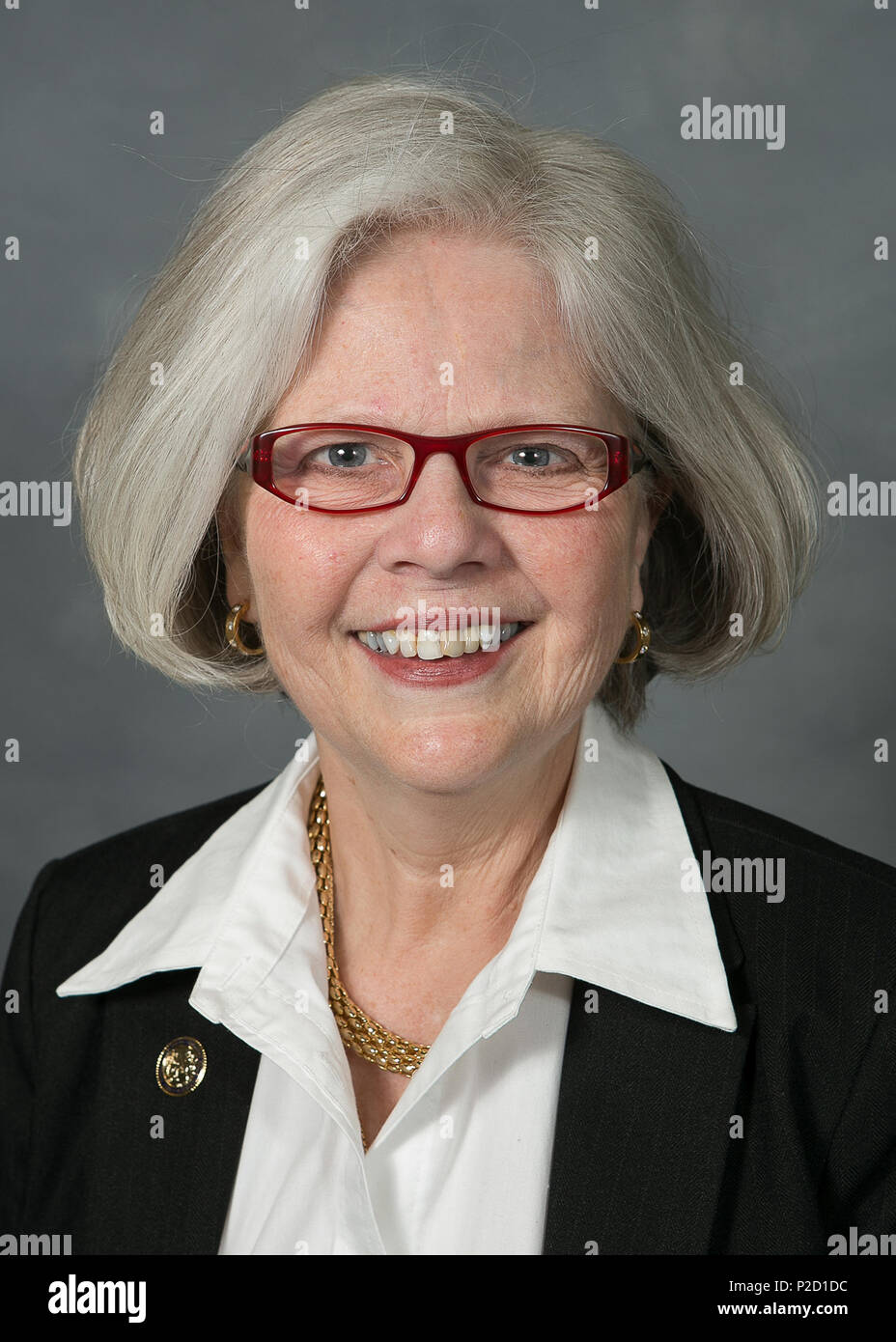 . North Carolina Rep Michele Presnell . Data sconosciuta. Stato della Carolina del Nord 35 MSPresnell Foto Stock