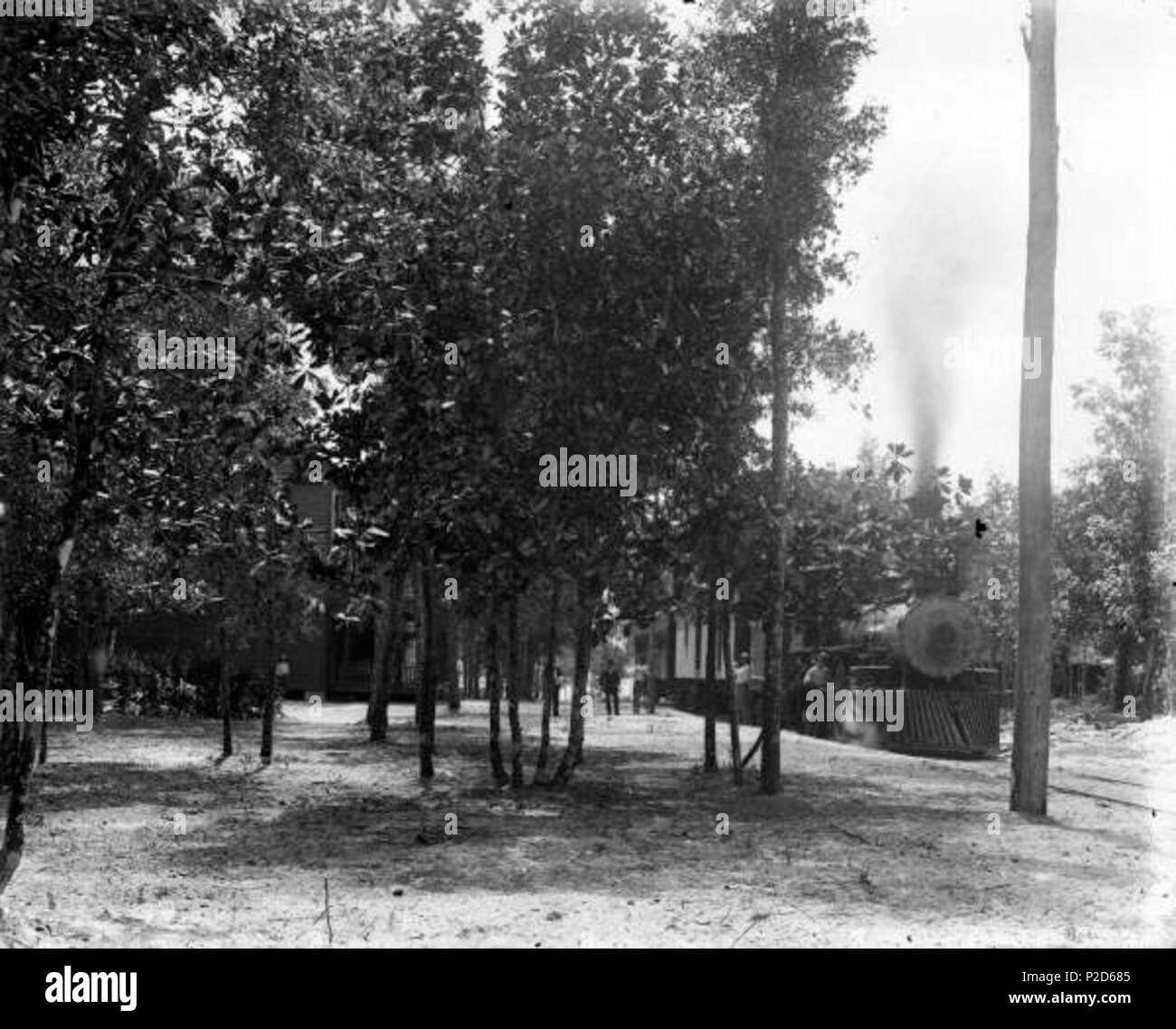 . Chiamata locale numero: AH00107 Titolo: Florida la stazione ferroviaria e la compagnia di navigazione a motore #15 a Lanark Hotel Data: ca. 1885 descri fisico: 1 bicchiere negativo: b&W; 8 x 10 in. Titolo serie: Alvin S. Harper collezione Nota generale: l'hotel era situato sul Golfo del Messico nella contea di Franklin, e fu rifugio estivo per Tallahasseeans e altri. Repository: Biblioteca e gli archivi dello stato della Florida, 500 S. Bronough San, Tallahassee, FL 32399-0250 Stati Uniti d'America. Contatto: 850.245.6700. Persistente Archives@dos.state.fl.us URL: Florida memoria . 1885. Memoria della Florida 20 Florida la stazione ferroviaria e la compagnia di navigazione Foto Stock