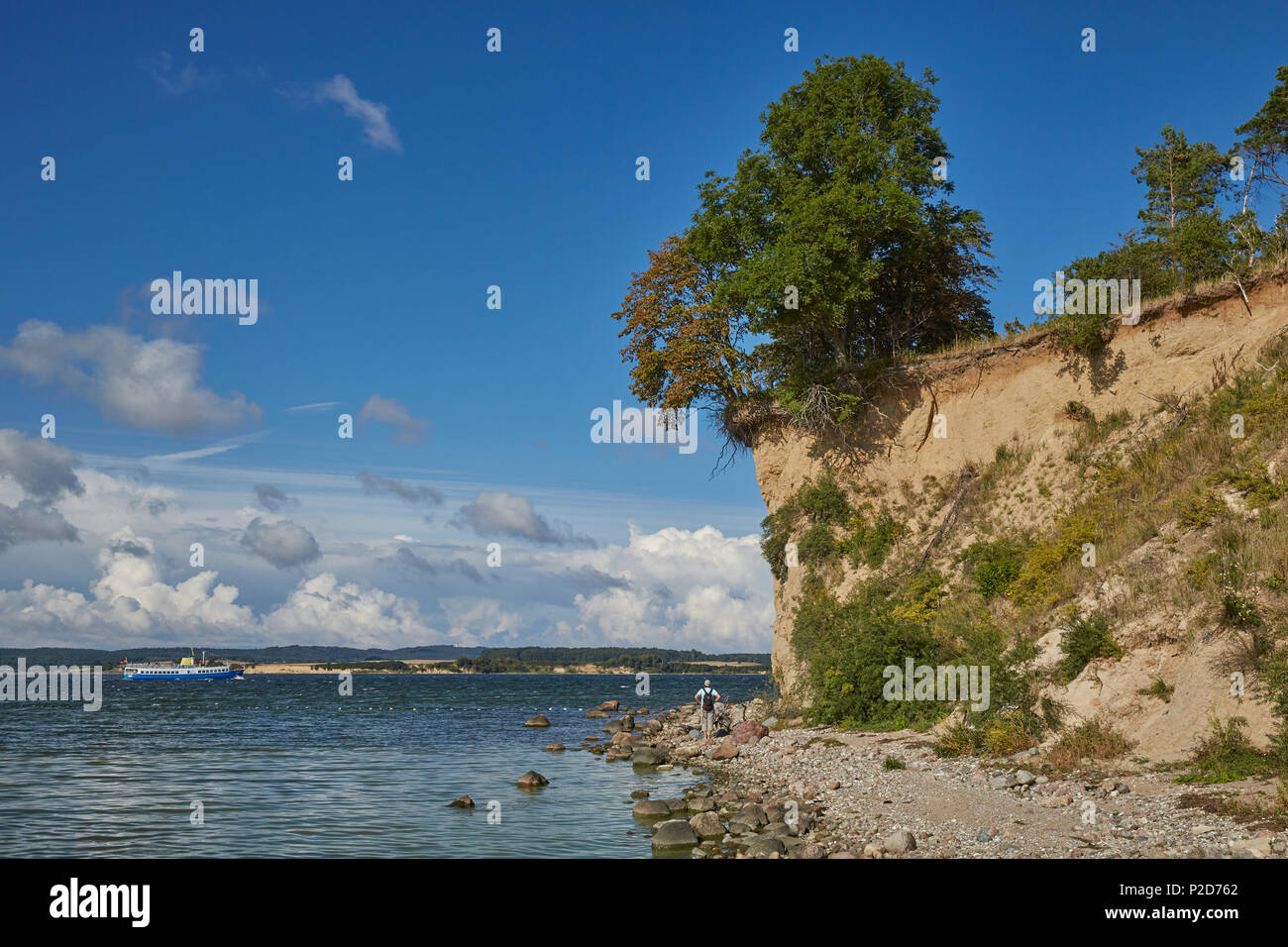 Ripida costa a Reddevitzer Hoeft, Moenchgut, Ruegen, Meclemburgo-Pomerania, Germania Foto Stock