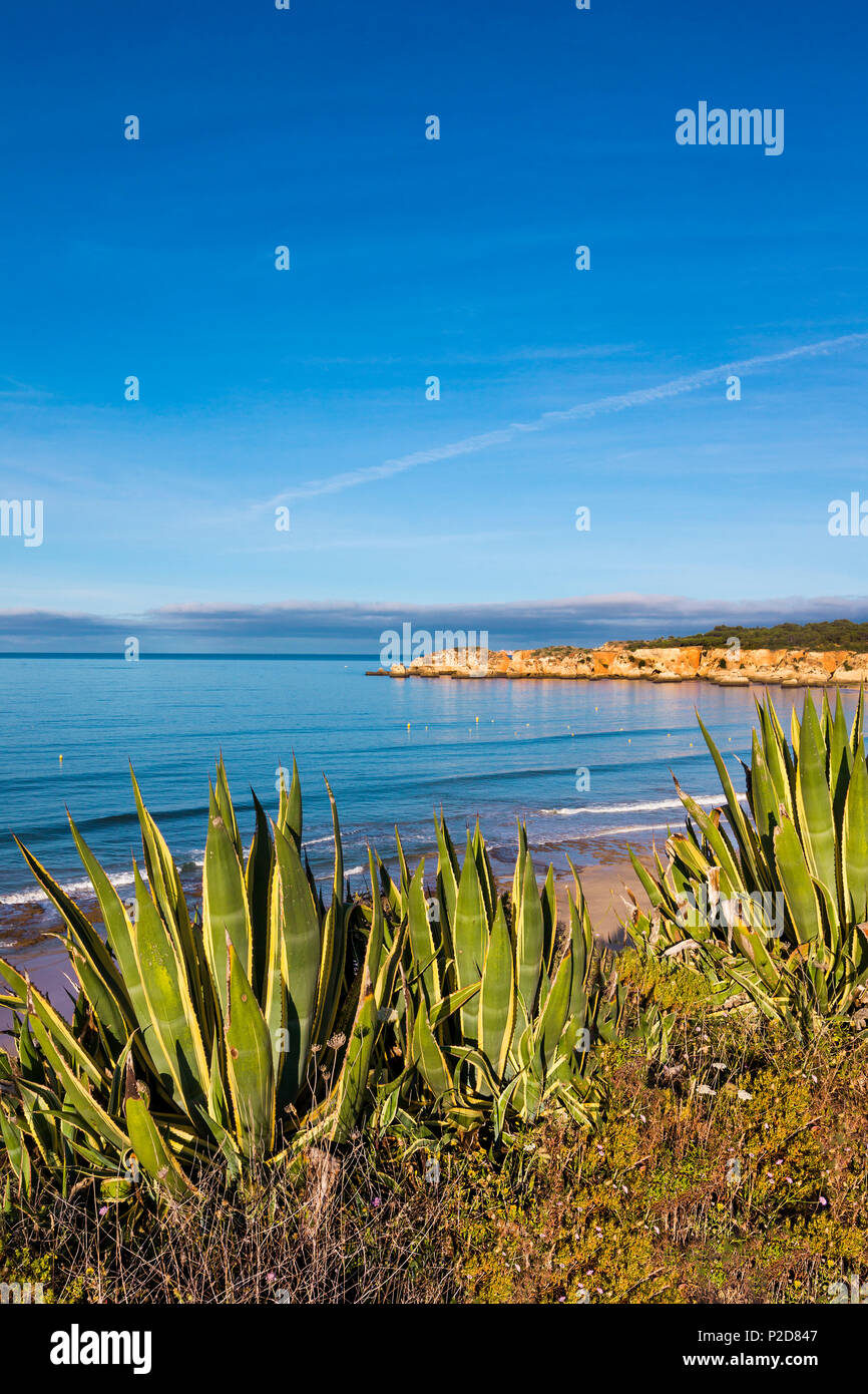 Vista verso la Praia do Vau, Praia da Rocha, Algarve, PORTOGALLO Foto Stock