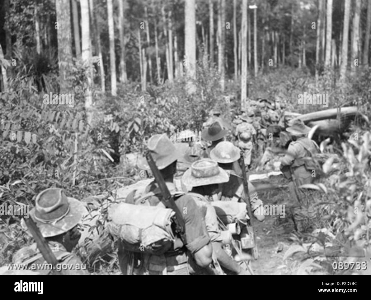 . Inglese: d azienda della Australian 2/3rd Battaglione Pioneer su John's via, Tarakan. 14 maggio 1945. Non registrato 2 2-3 Pioneer Bn Tarakan (089733) Foto Stock