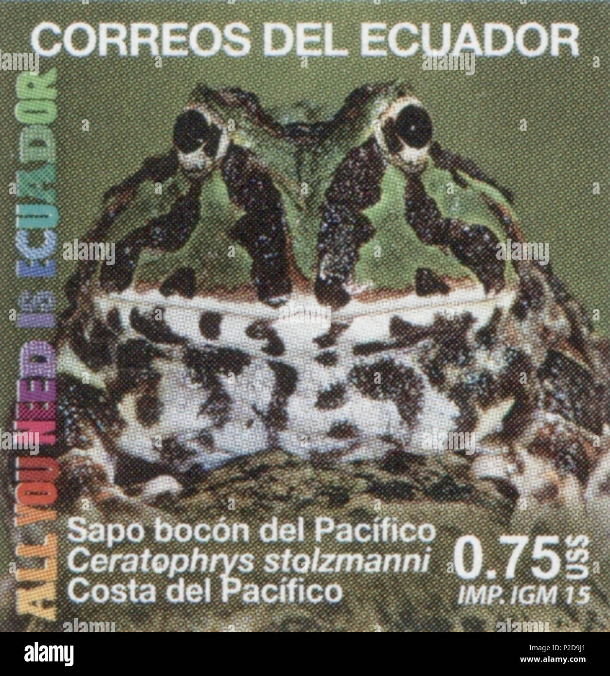 . Inglese: tutto ciò di cui hai bisogno è Ecuador - Ecuadoriano Rana cornuta - Ceratophrys stolzmanni - Vivarium de Quito . Il 13 novembre 2015. Post di Ecuador, foto: Pete Oxford 12 Ceratophrys stolzmanni 2015 timbro dell Ecuador Foto Stock