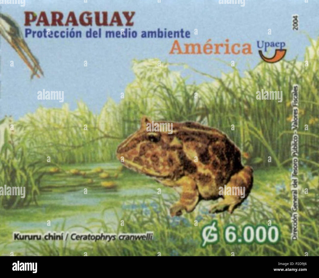 . Ceratophrys cranwelli . 2004. Post del Paraguay 12 Ceratophrys cranwelli 2004 timbro del Paraguay Foto Stock