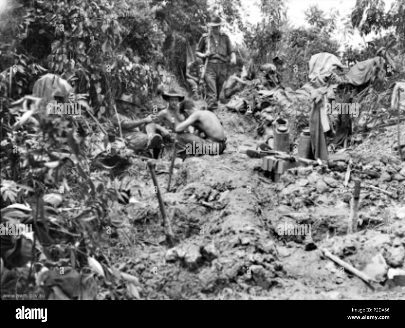 . Australian War Memorial (AWM) il numero di catalogo 089449. Membri della Australian 2/4th Commando di cavalleria Squadron sul Tarakan Ridge . Il 5 maggio 1945. Non registrato 14 Commandos Tarakan cresta (089449) Foto Stock
