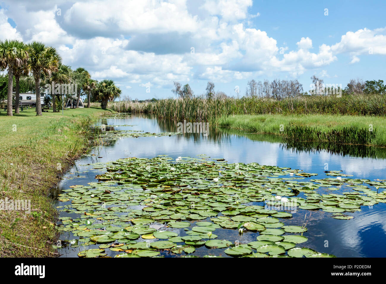 Fort ft. Pierce Florida,Savannas Recreation Area,Preserve,al Protection,parco della contea,paludi costiere d'acqua dolce,pernottamento in campeggio,campeggio,campeggio,canale,wate Foto Stock