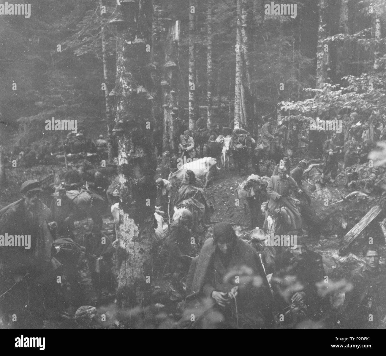 . Srpskohrvatski / ??????????????: Ranjenici Druge divizije NOVJ kod Balinovca, tokom pete neprijateljske ofanzive 1943. godine. 1943. 44 sconosciuto Ranjenici Druge divizije na Sutjesci Foto Stock
