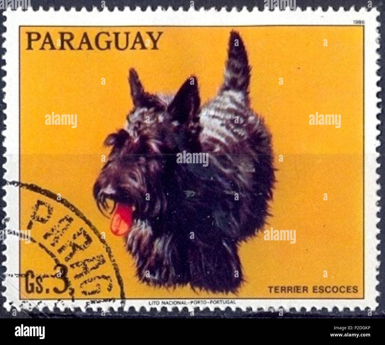 . ???????: ????-?????? . Il 28 agosto 1986. Timbro del Paraguai 51 Scotch-Terrier-Canis lupus--familiaris Foto Stock