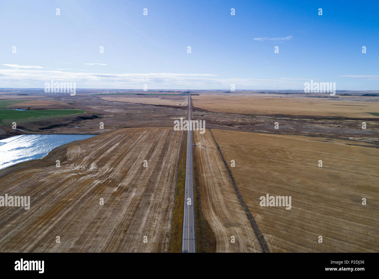 Empty road passando attraverso il campo di grano Foto Stock