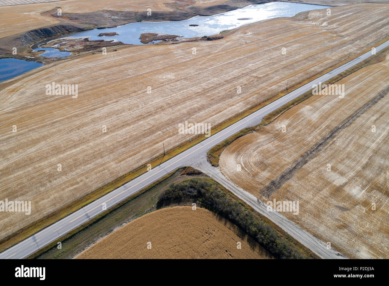 Empty road passando attraverso il campo di grano Foto Stock