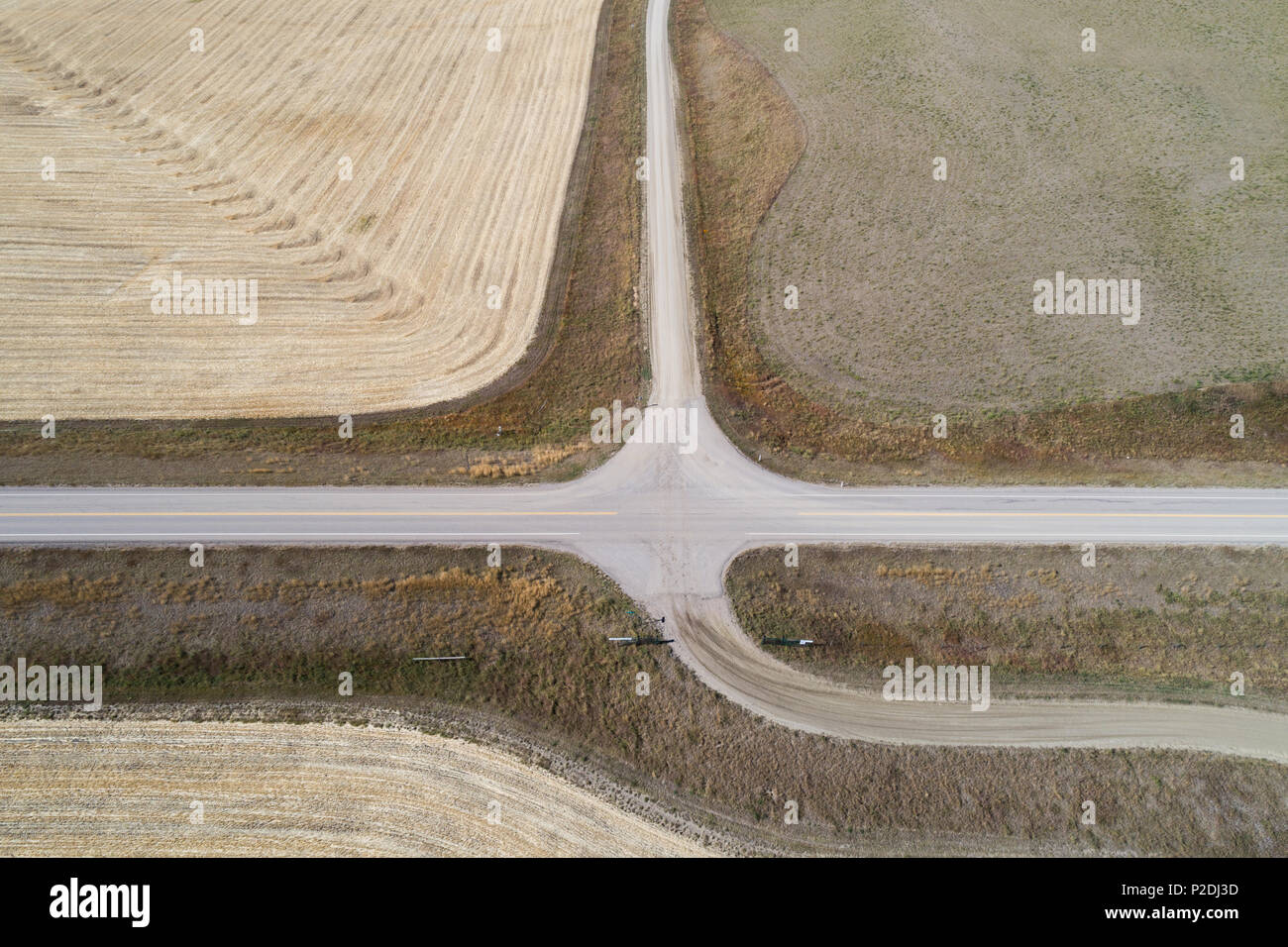 Empty road passando attraverso il campo di grano Foto Stock