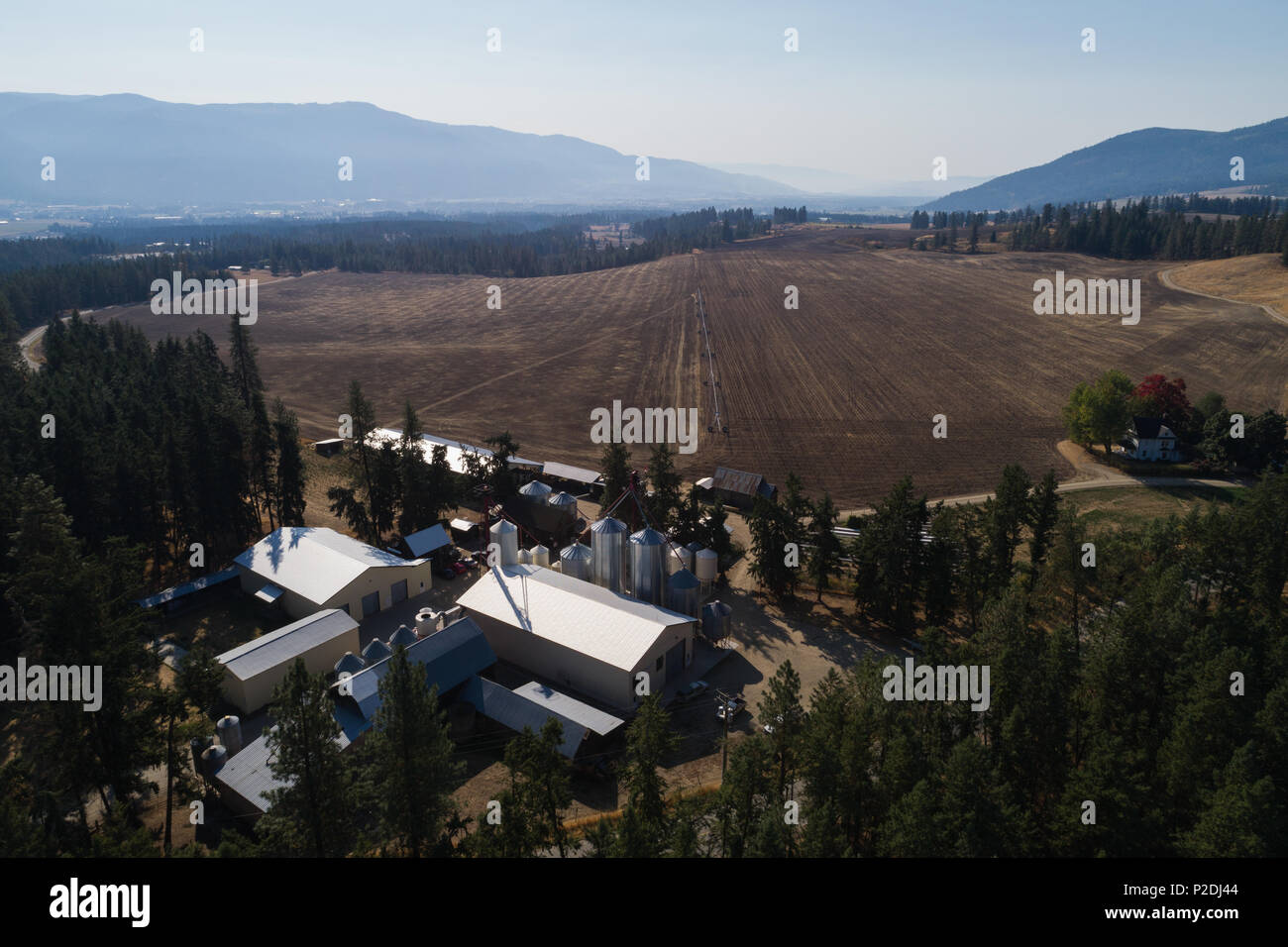 Antenna di elevatore della granella e il campo Foto Stock