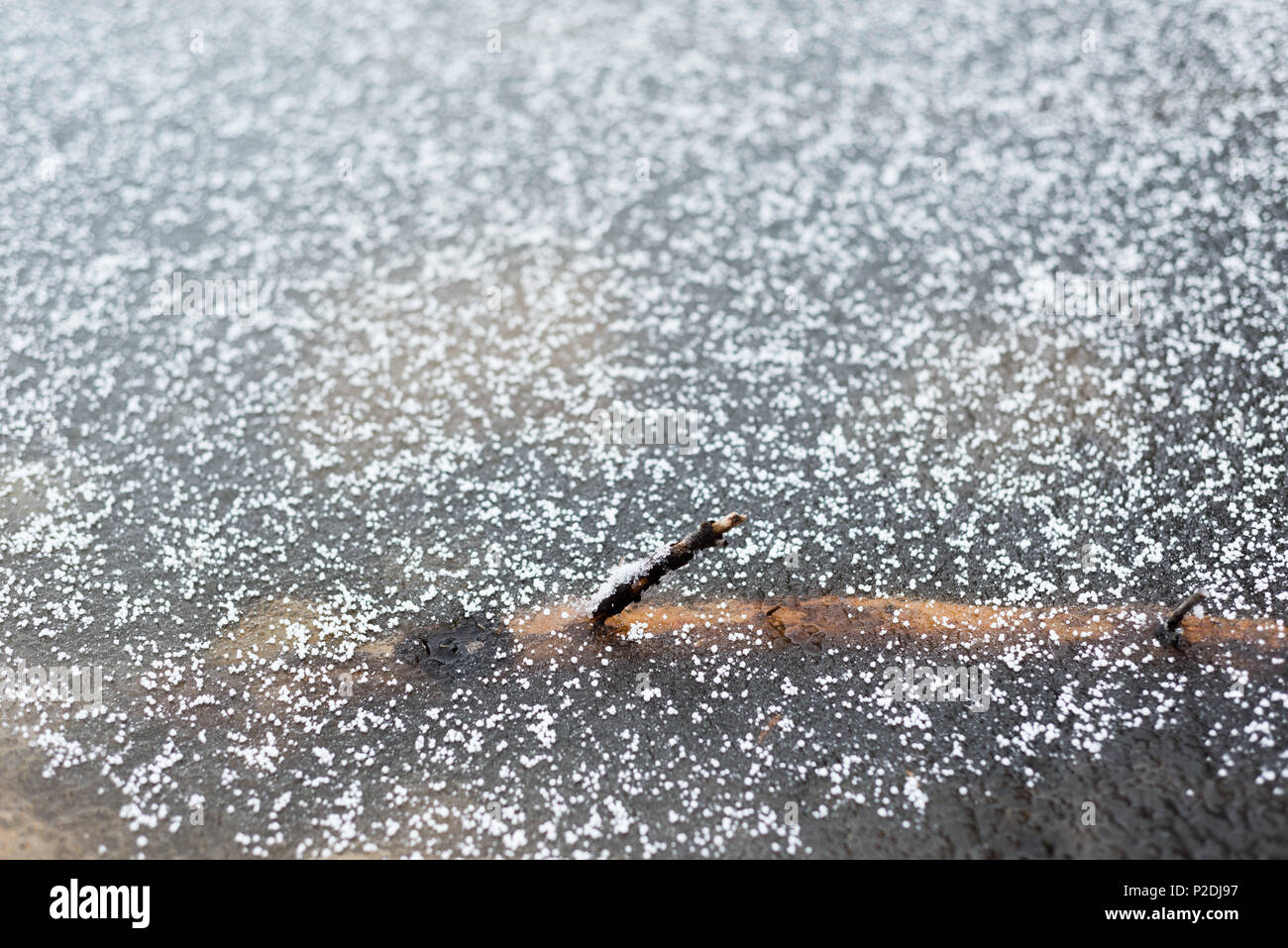 Asciugi legno ricoperto di ghiaccio Foto Stock