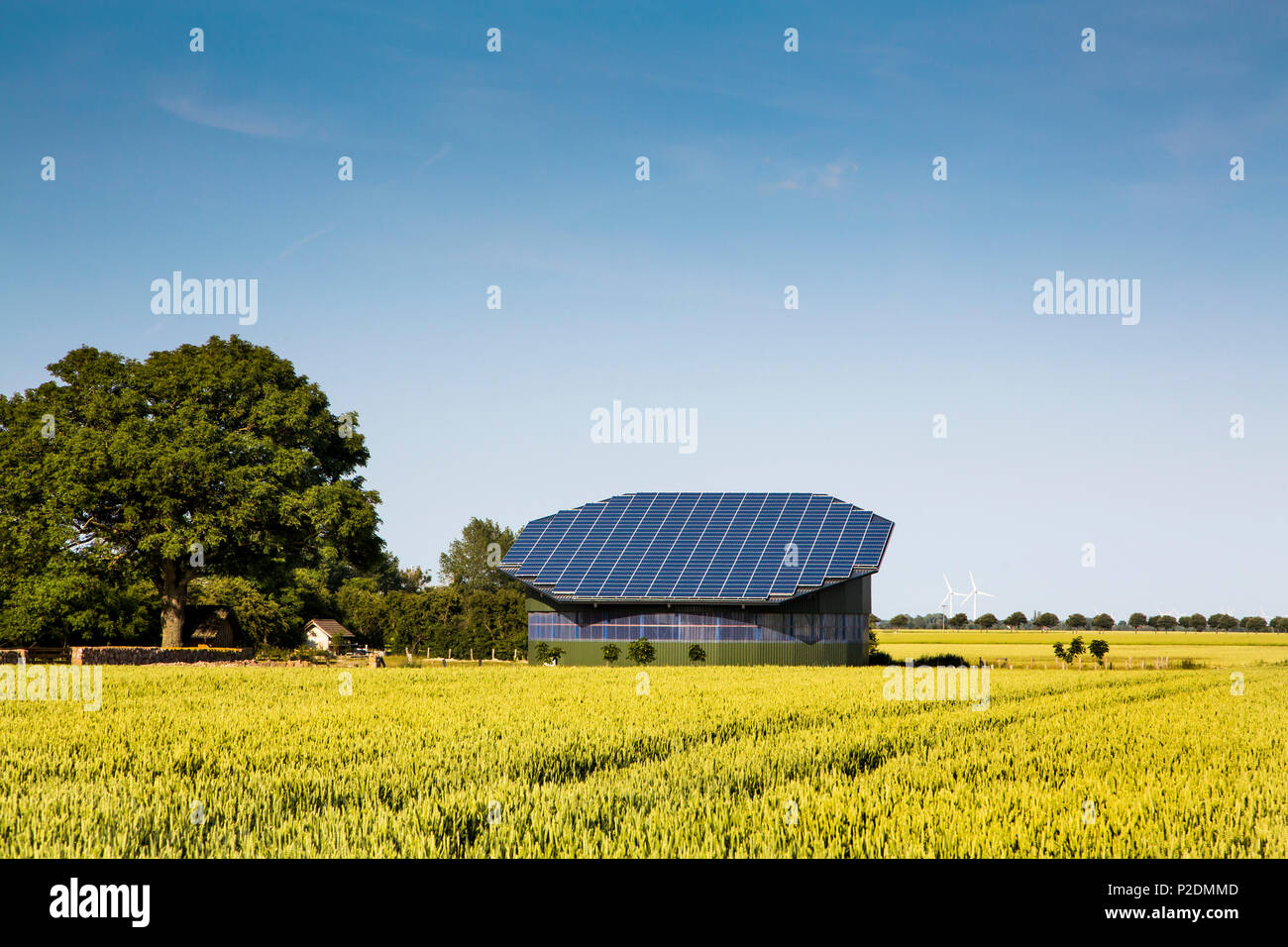 Pannelli solari su un tetto stabile, costa baltica, Schleswig-Holstein, Germania Foto Stock