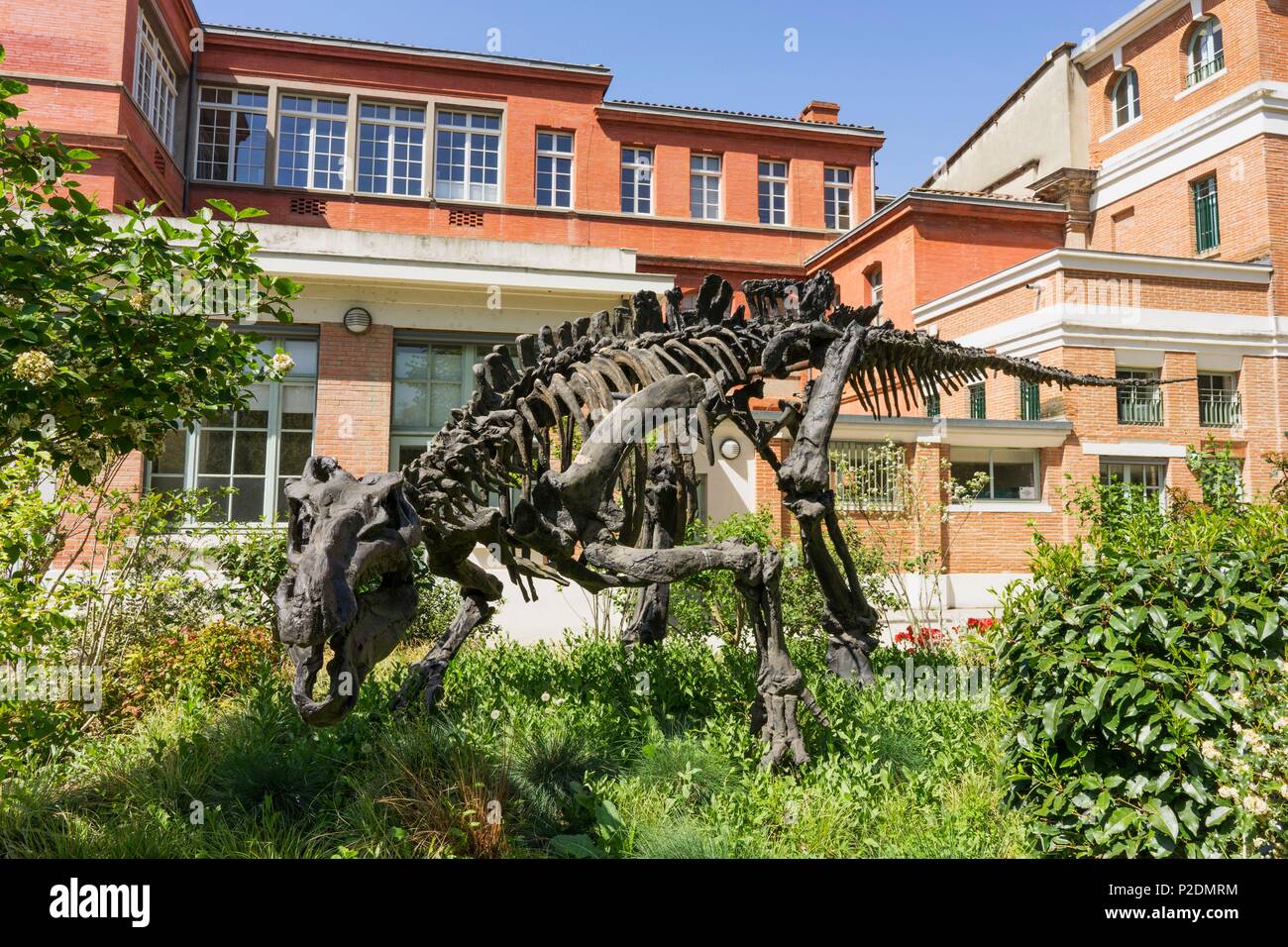 Francia, Haute Garonne, Toulouse, scheletro di dinosauro al di fuori del museo di storia naturale Foto Stock