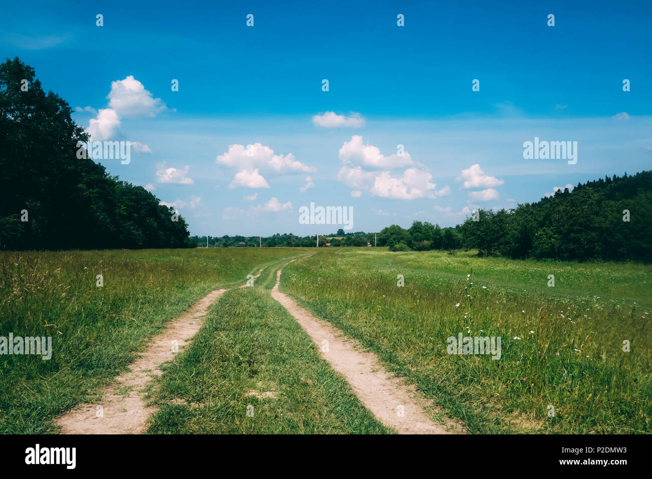 Circolazione su strada, campo e foresta Foto Stock
